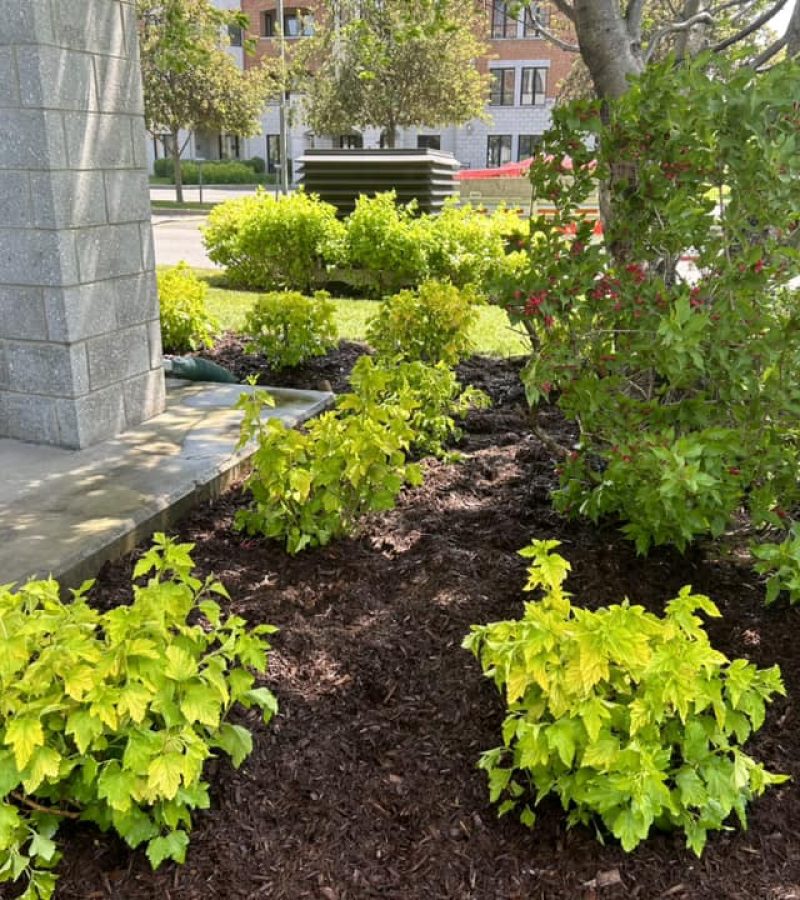 475238166_939761248131976_1255475920982836647_n