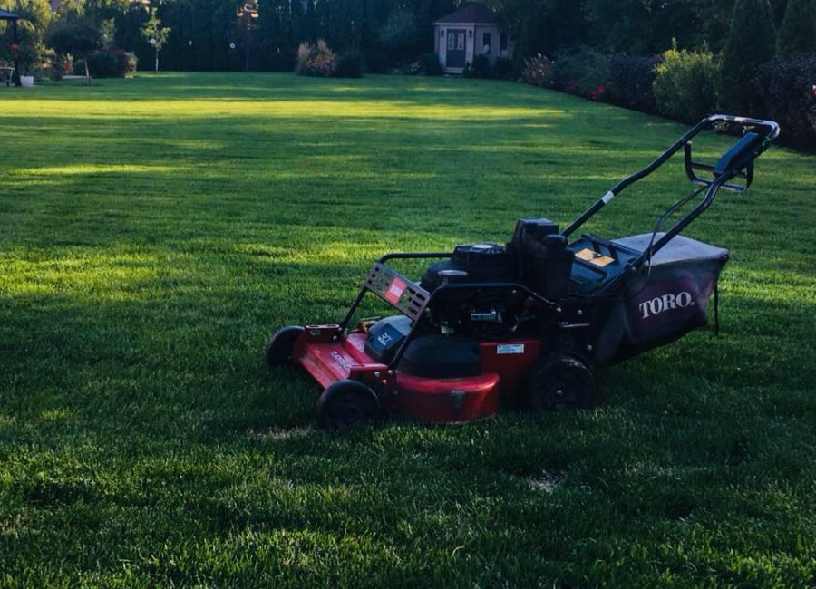 59069615_428511177927135_1531096634899824640_n